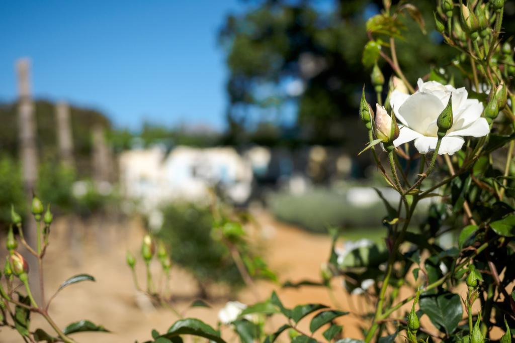 Auberge Clermont Franschhoek Exterior photo