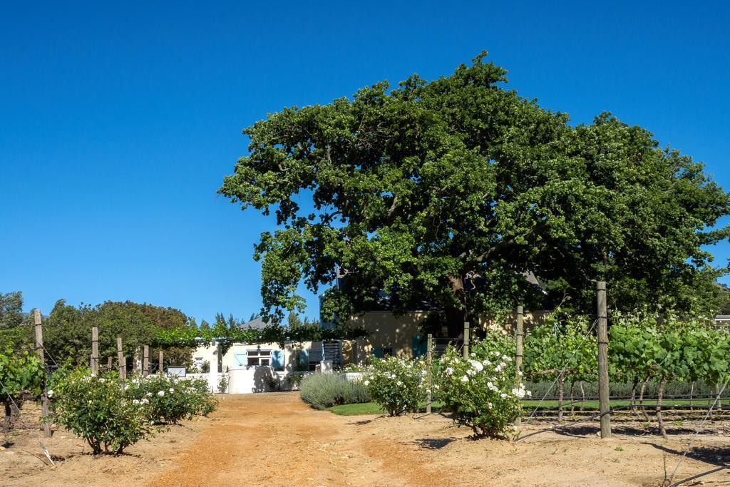 Auberge Clermont Franschhoek Exterior photo