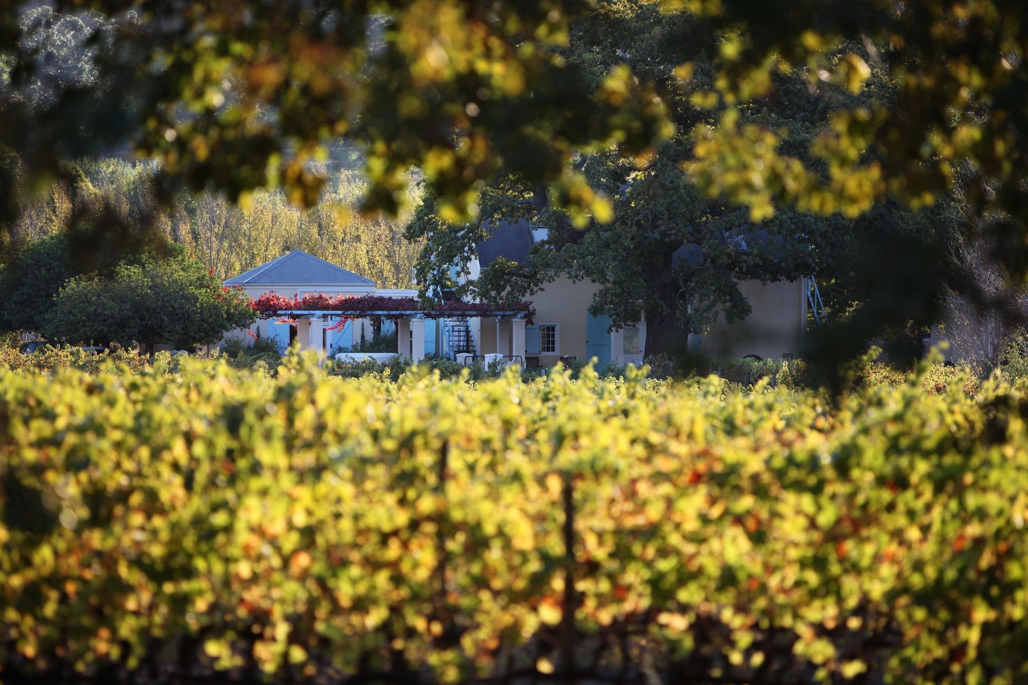 Auberge Clermont Franschhoek Exterior photo