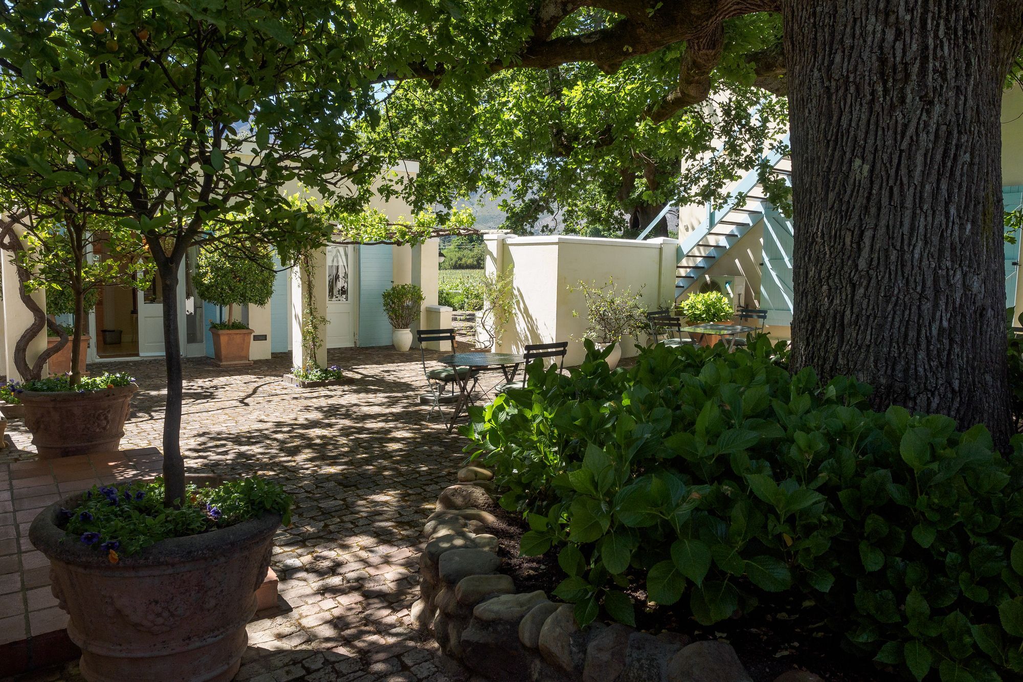 Auberge Clermont Franschhoek Exterior photo