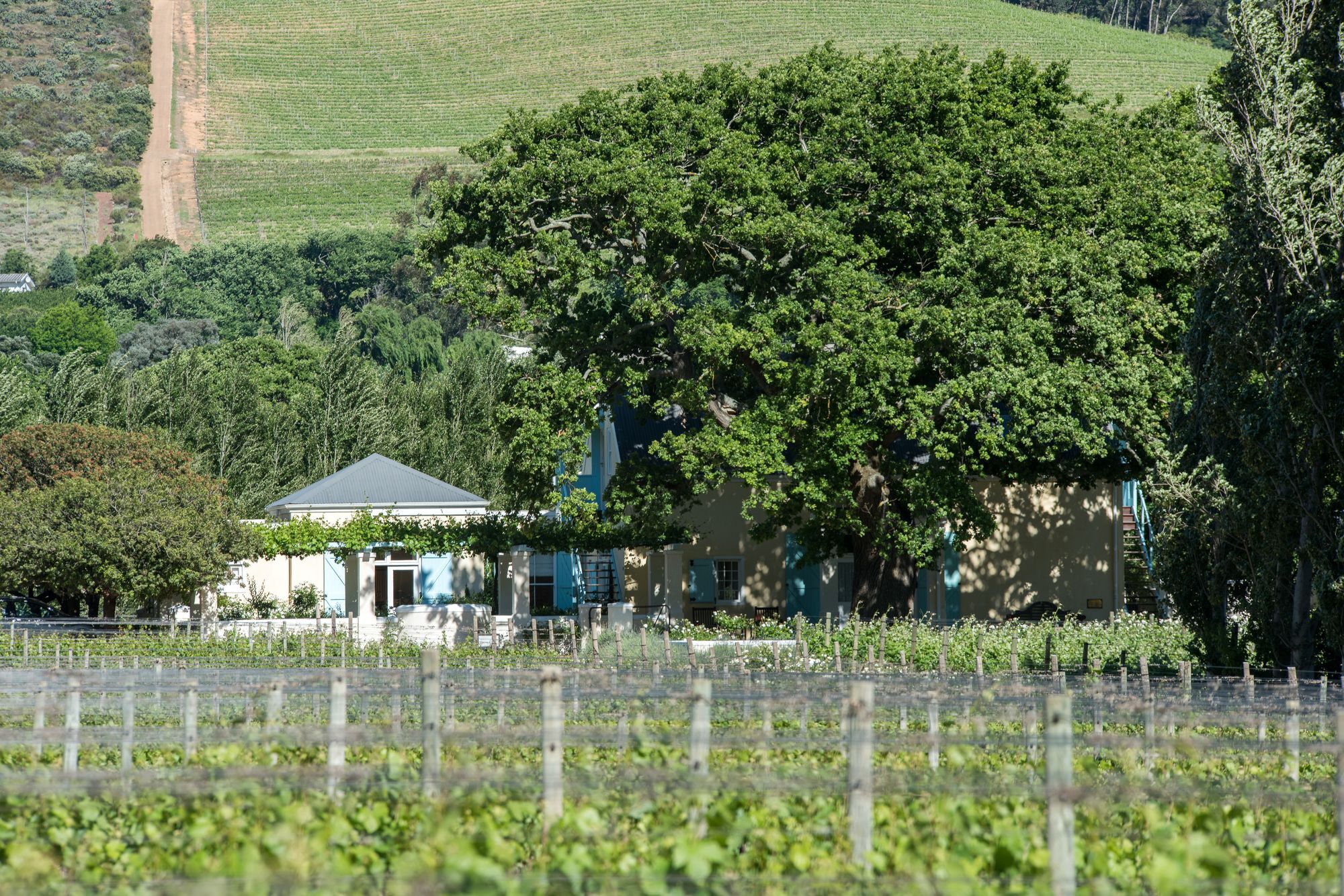 Auberge Clermont Franschhoek Exterior photo